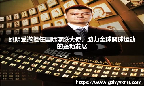 bsports官网入口