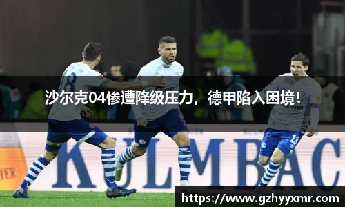 bsports官网入口