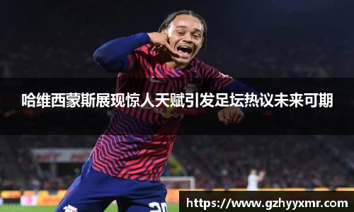 B体育bsports