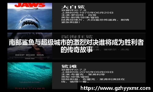 bsports官网入口