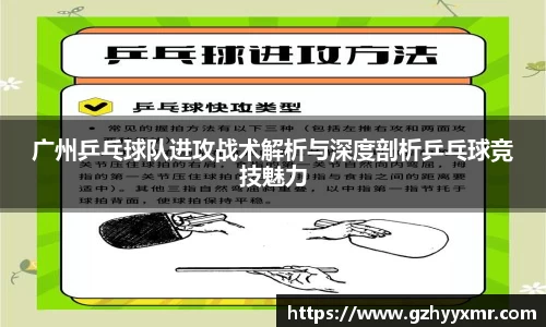 bsports官网入口